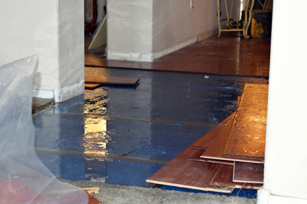 Professional Burst Pipe Cleanup technician working in Great Neck, NY